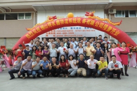 佛山德友鑫團隊